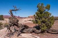 The Maze 2019068 The Maze Utah 2019 