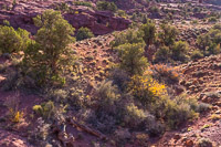 0005 Fisher Towers White Rim Utah 2018 Fisher Towers