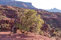 0012 Fisher Towers White Rim Utah 2018 Fisher Towers