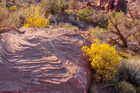 0019 Fisher Towers Hdr White Rim Utah 2018 Fisher Towers