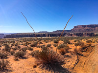 0059 White Rim Utah 2018 