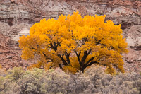 0179 White Rim Utah 2018 