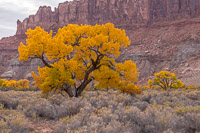 0185 White Rim Utah 2018 