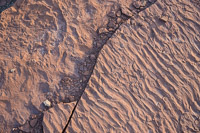 0195 White Rim Utah 2018 Taylor Campsite
