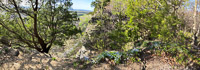 0003 Panorama Snake Road 