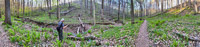 0020 Panorama Snake Road Richard