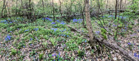 0022 Artistic Panorama Snake Road 
