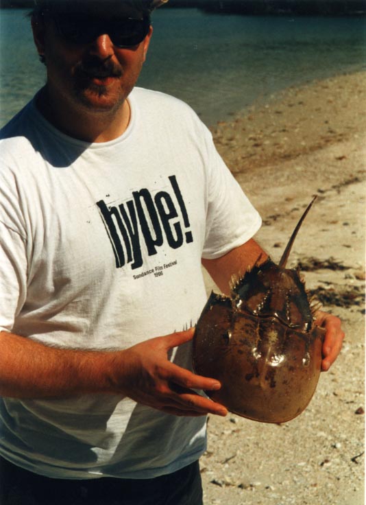 Crab B