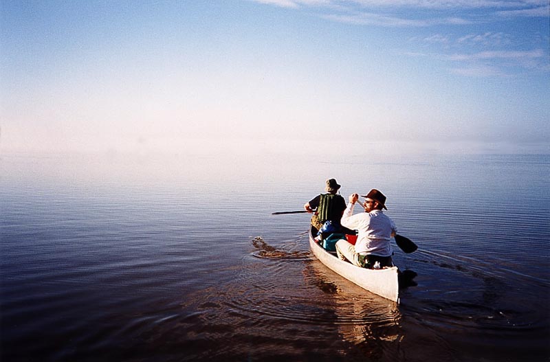 Horizon B