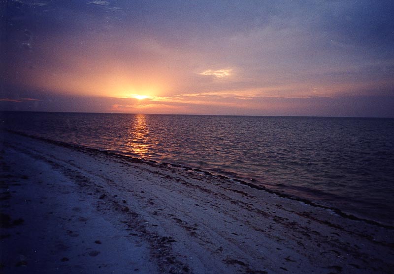 Sunset B