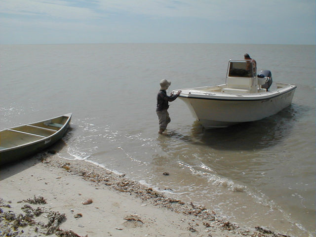 P1010001 Jpg