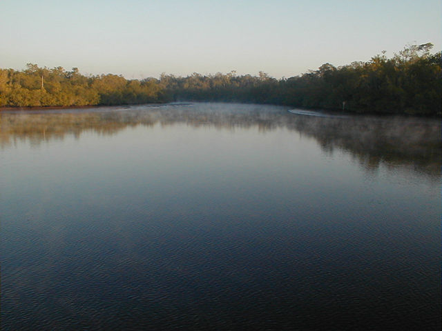 P1010004 Jpg