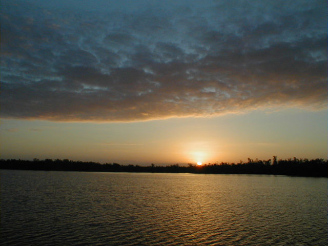 P1010021 Jpg