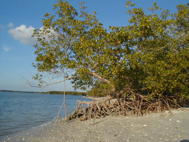 P1010027 Jpg