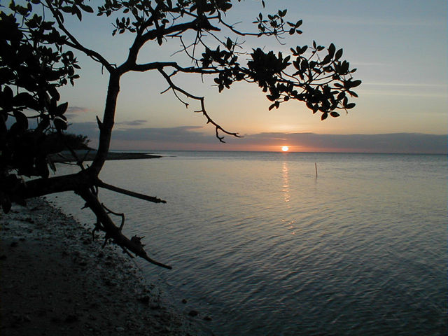 P1010028 Jpg