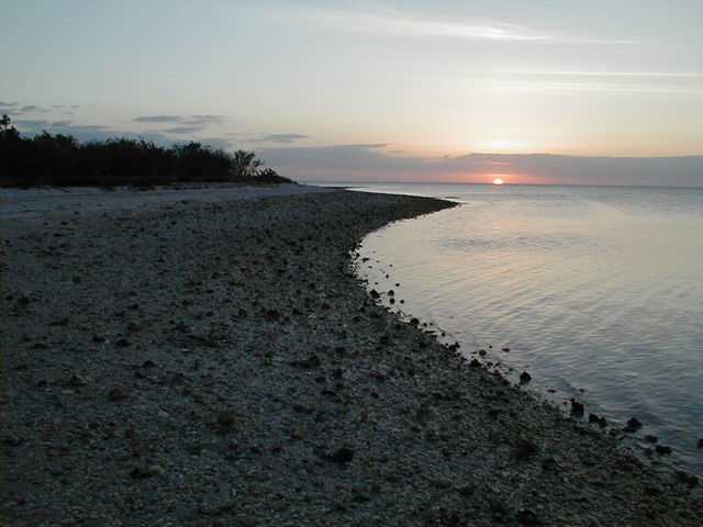 P1010029 Jpg