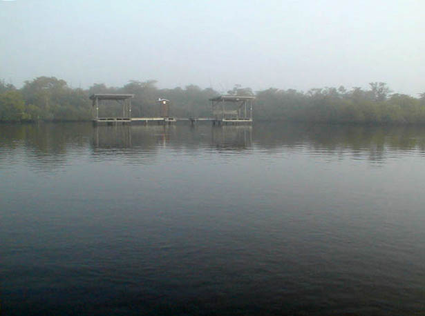 P1010033 Jpg
