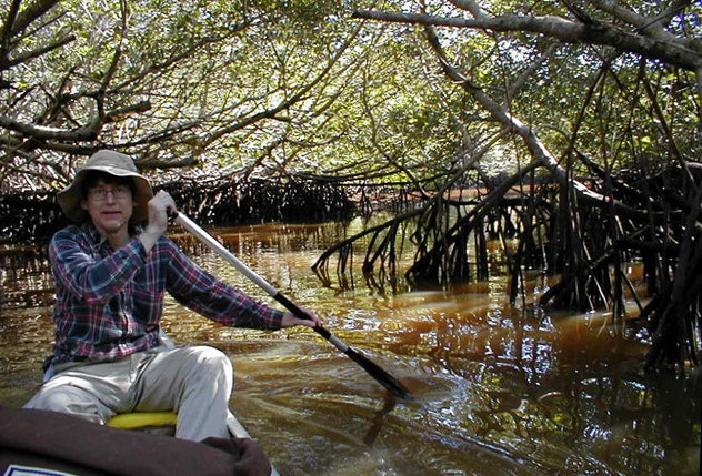 Everglades