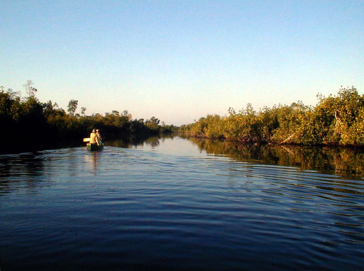 42 Shark River2