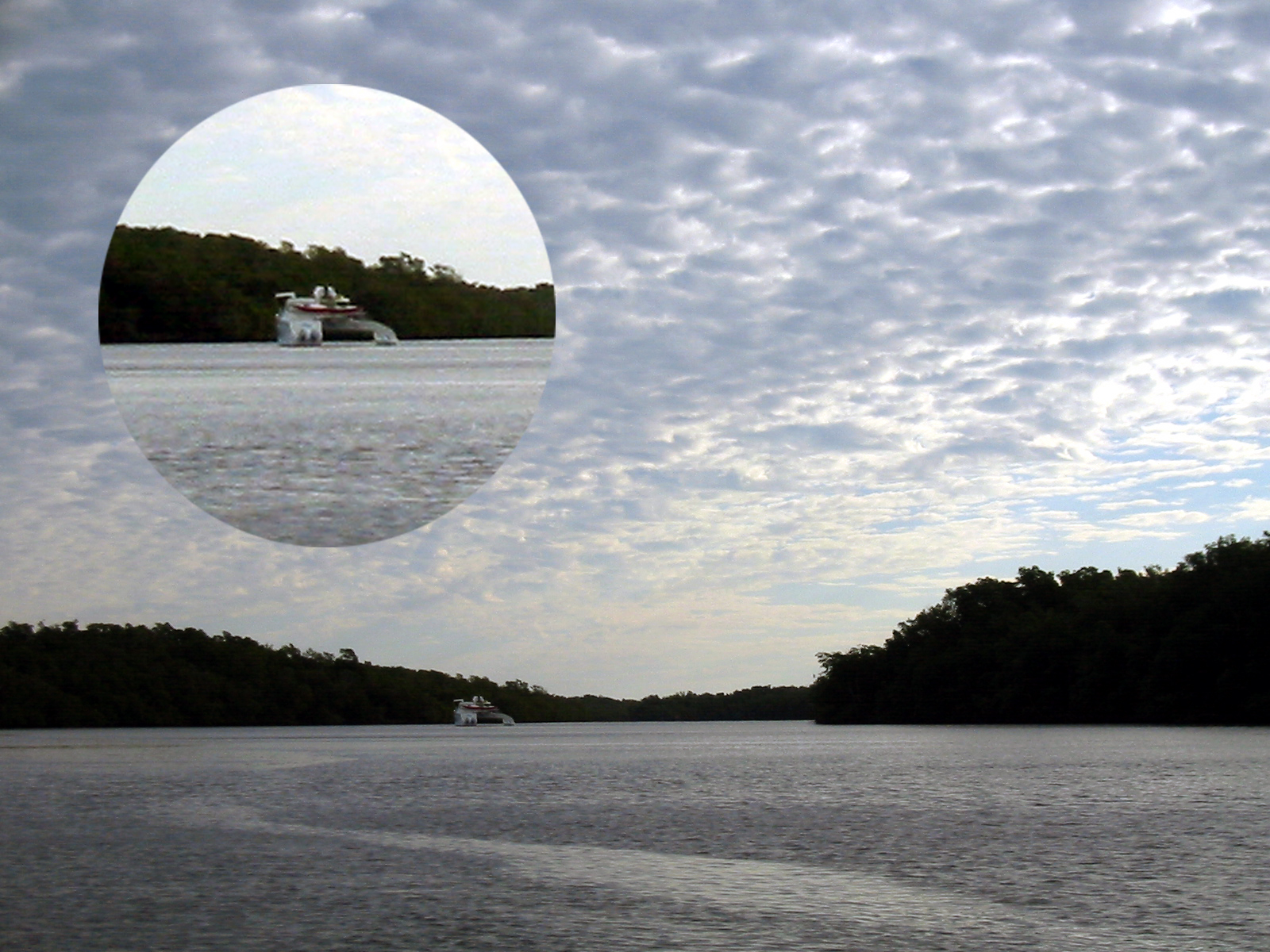 16 Shark River Mothership