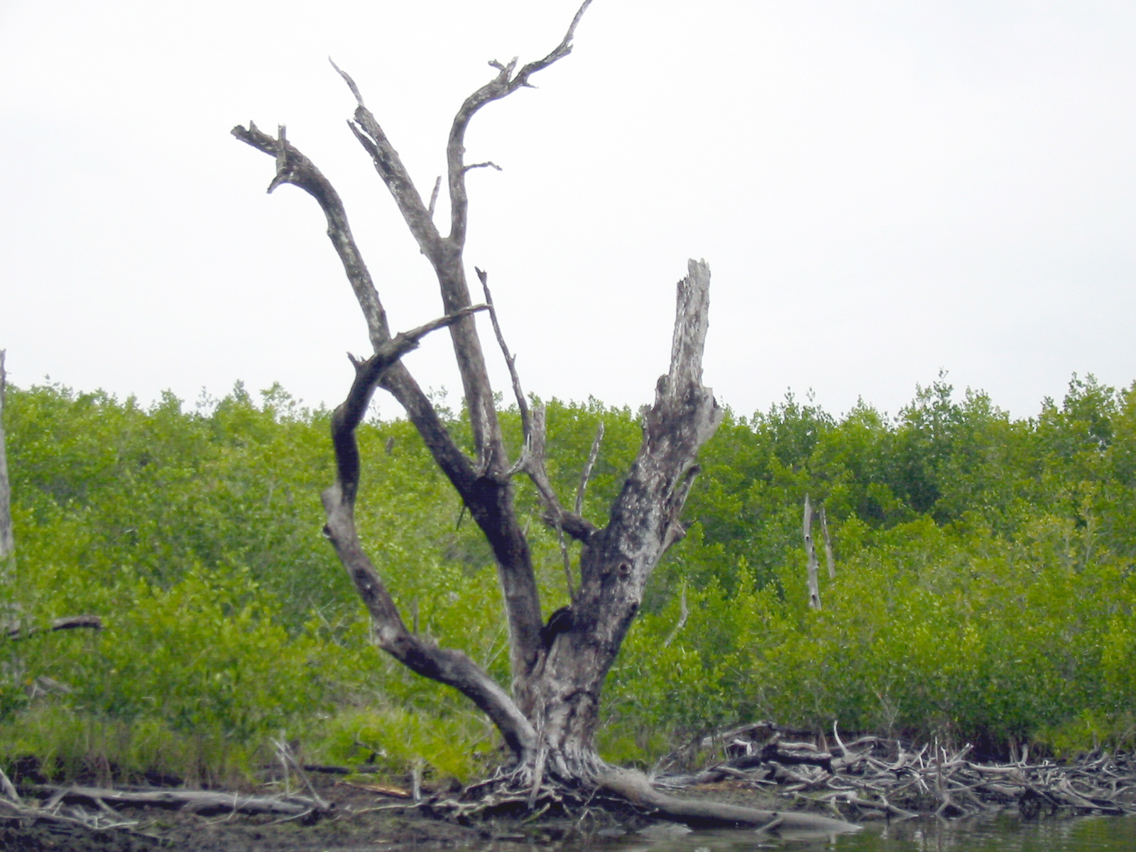 45 Gopher Creek
