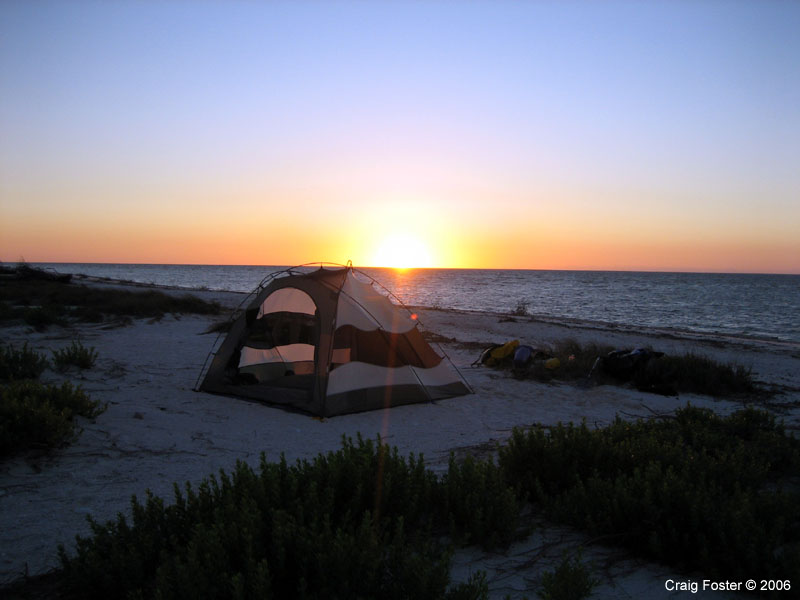 09 Pavilion Tent Cf