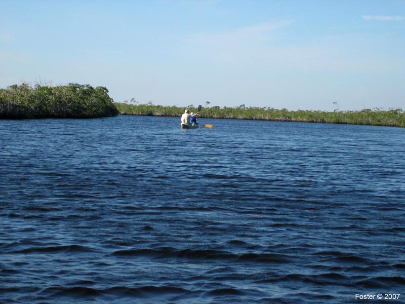 13 North River Cf