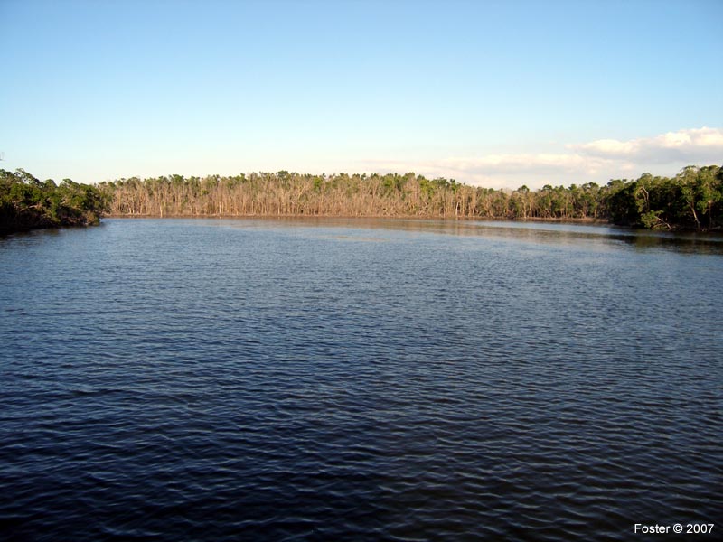 23 Oyster Bay Rf