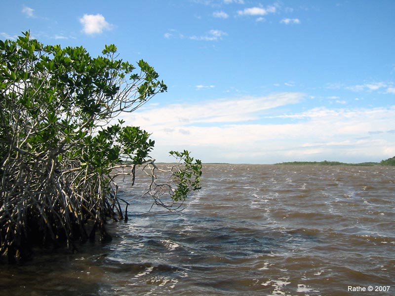 39 Whitewater Bay