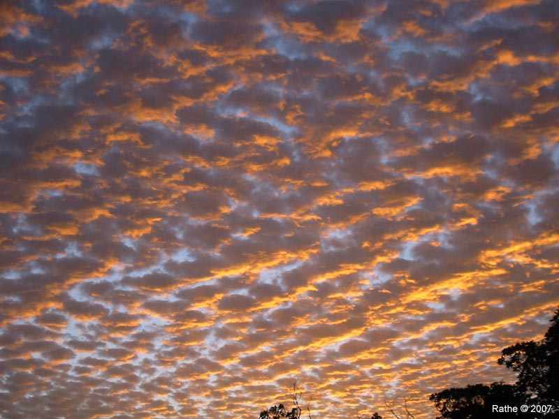 49 Lane Sunset