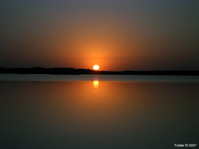 51 Lane Sunrise Rf