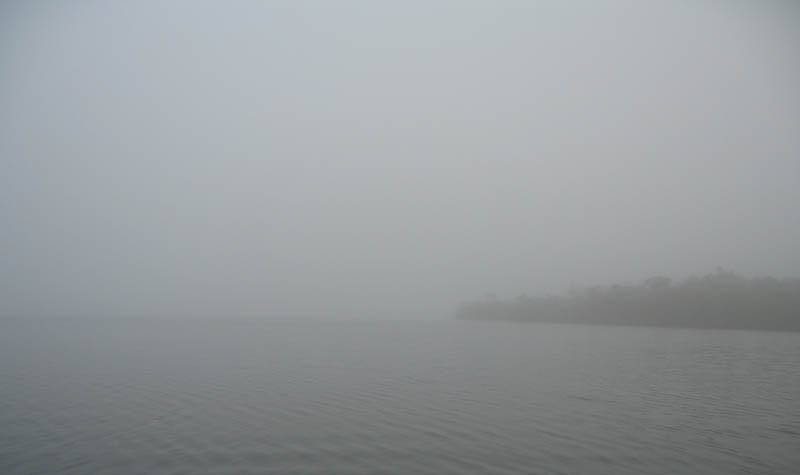 29 Watson River Fog