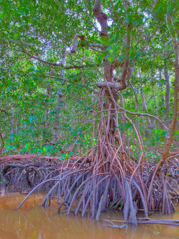 Img 1196 4 5 Tonemapped