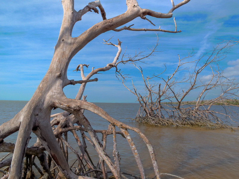 Img 1319 7 8 Tonemapped