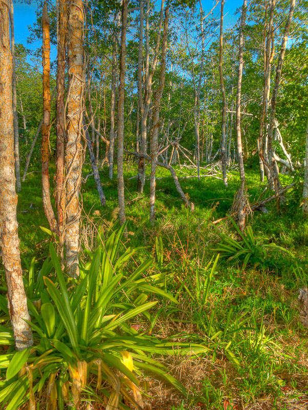 Img 1371 3 2 Tonemapped