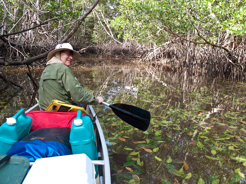 Everglades