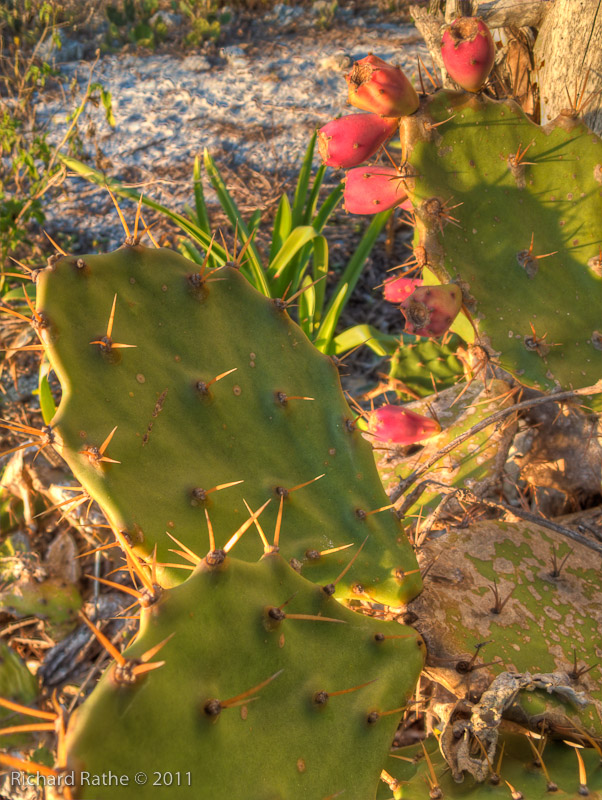 Img 1821 2 3 Tonemapped