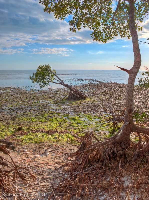 Img 1924 5 6 Tonemapped