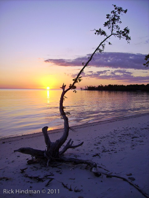 Pict0828