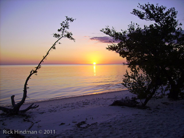 Pict0829