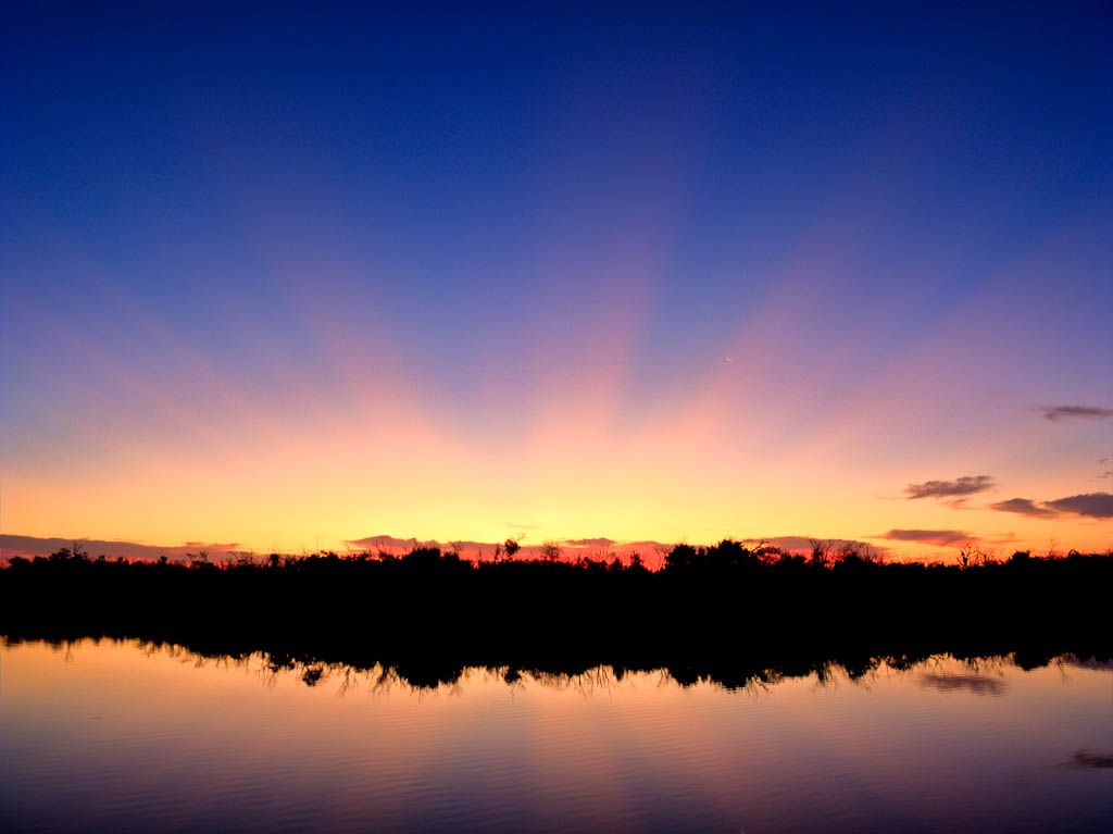 Everglades 2012 13