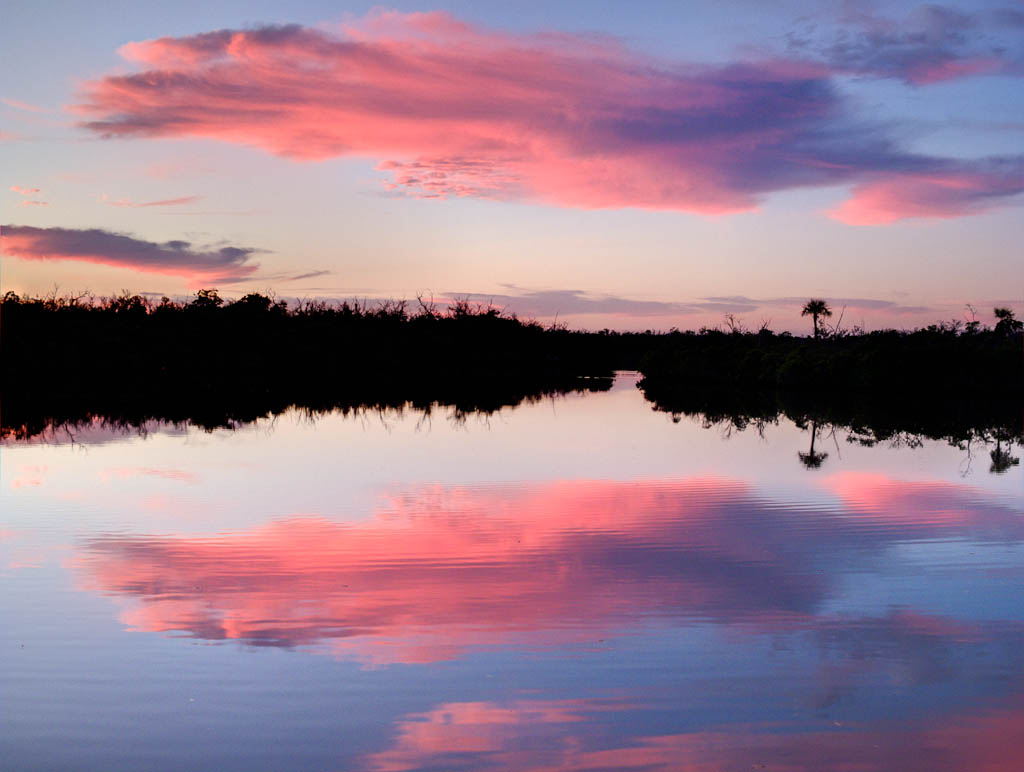 Everglades 2012 15
