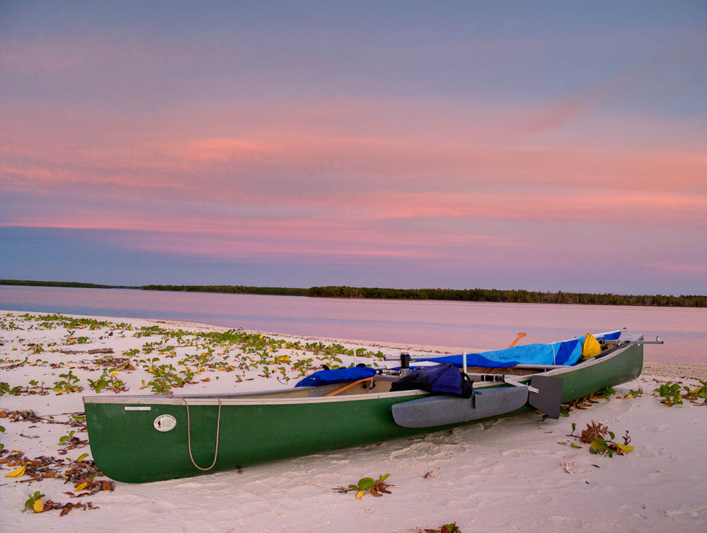 Everglades 2012 27