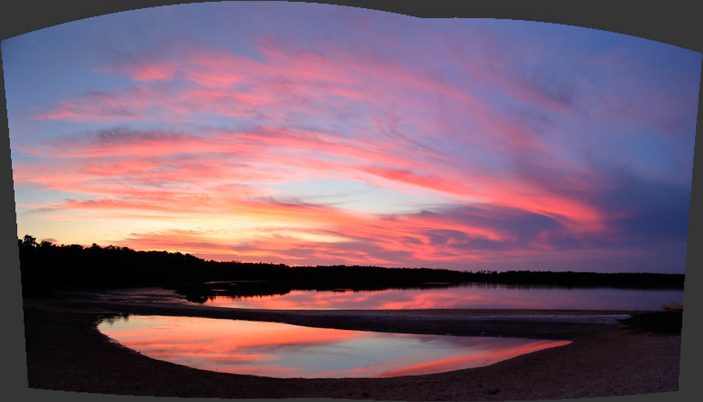 Everglades 2012 29