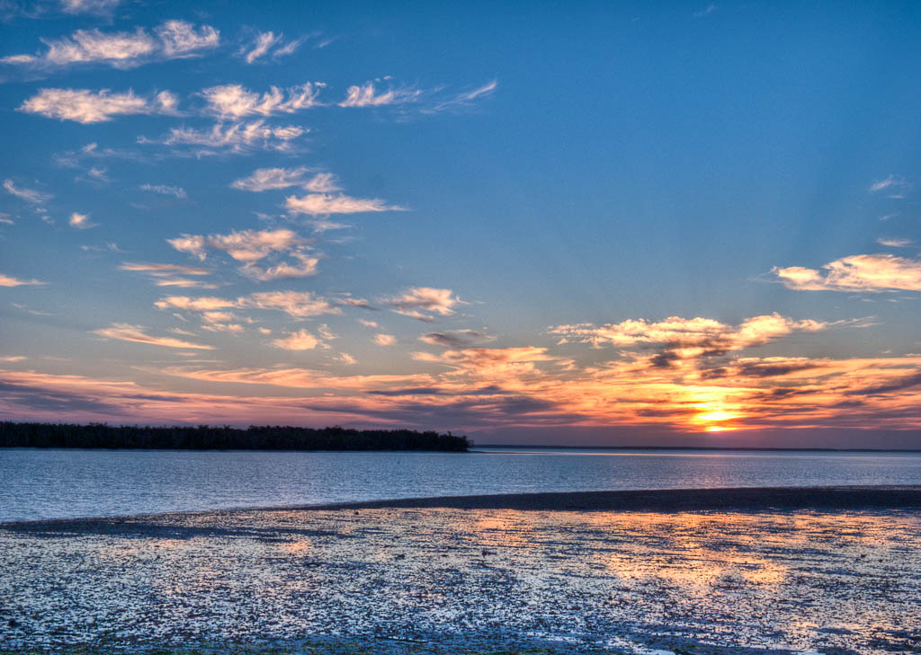 Everglades 2012 30