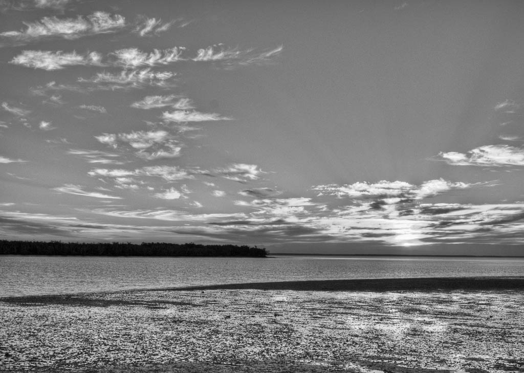 Everglades 2012 31