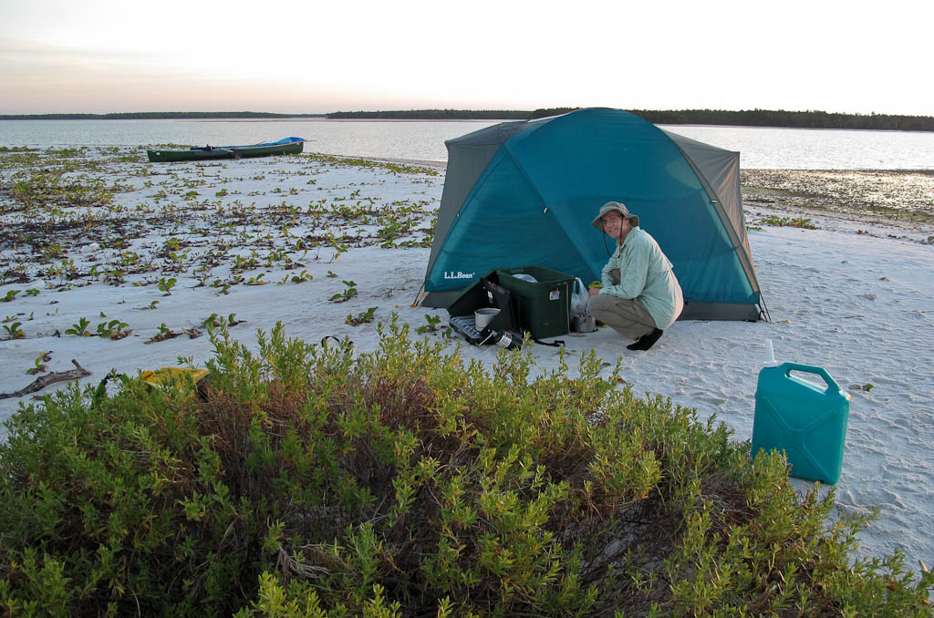 Everglades 2012 32