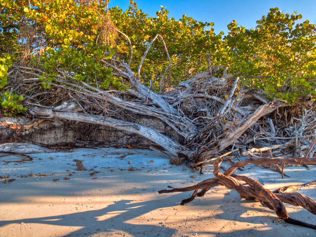 Everglades 2012 39