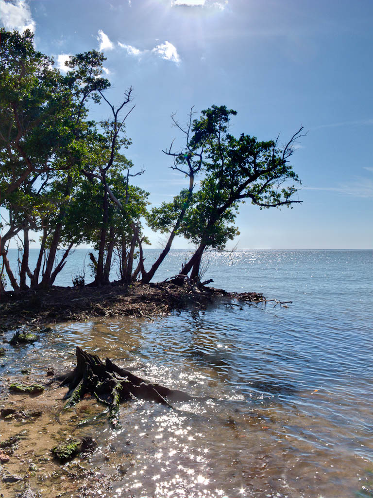 Everglades 2012 58