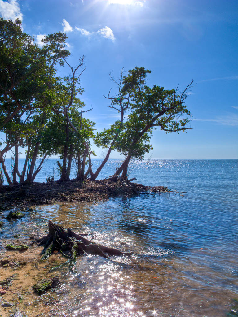 Everglades 2012 59
